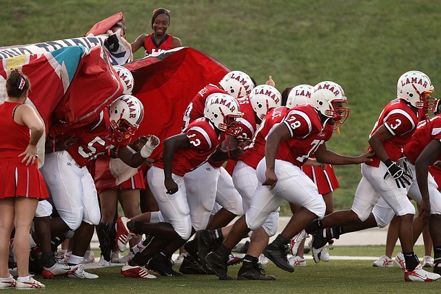 新的希望 新的希望